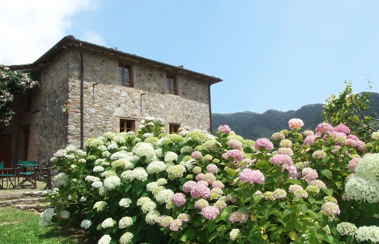 ヴィラ ボッティーノ San Martino in Freddana エクステリア 写真